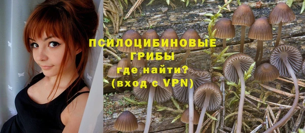 ECSTASY Белоозёрский