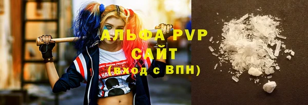 гидра Белокуриха